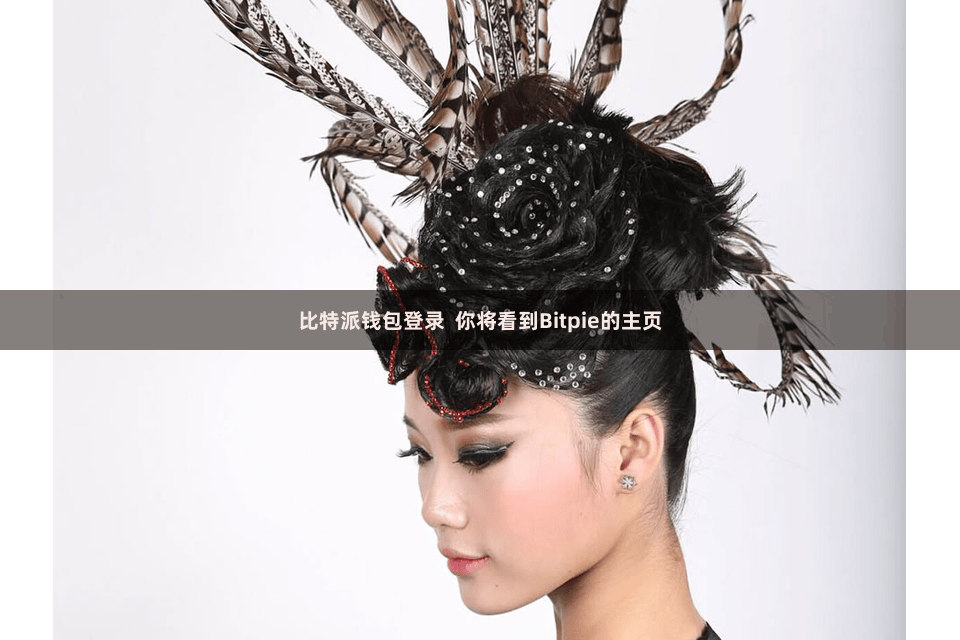 比特派钱包登录 你将看到Bitpie的主页