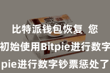 比特派钱包恢复 您就不错初始使用Bitpie进行数字钞票惩处了
