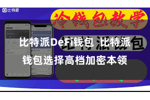 比特派DeFi钱包  比特派钱包选择高档加密本领